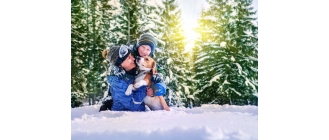 Spacery z psem w zimie. Jak zadbać o jego bezpieczeństwo?